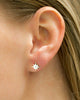 Meridian Avenue |  Starburst Stud Earrings