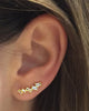 Ellie Vail | Olivia Ear Climbers