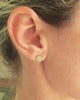 Meridian Avenue | Chain Stud Earrings
