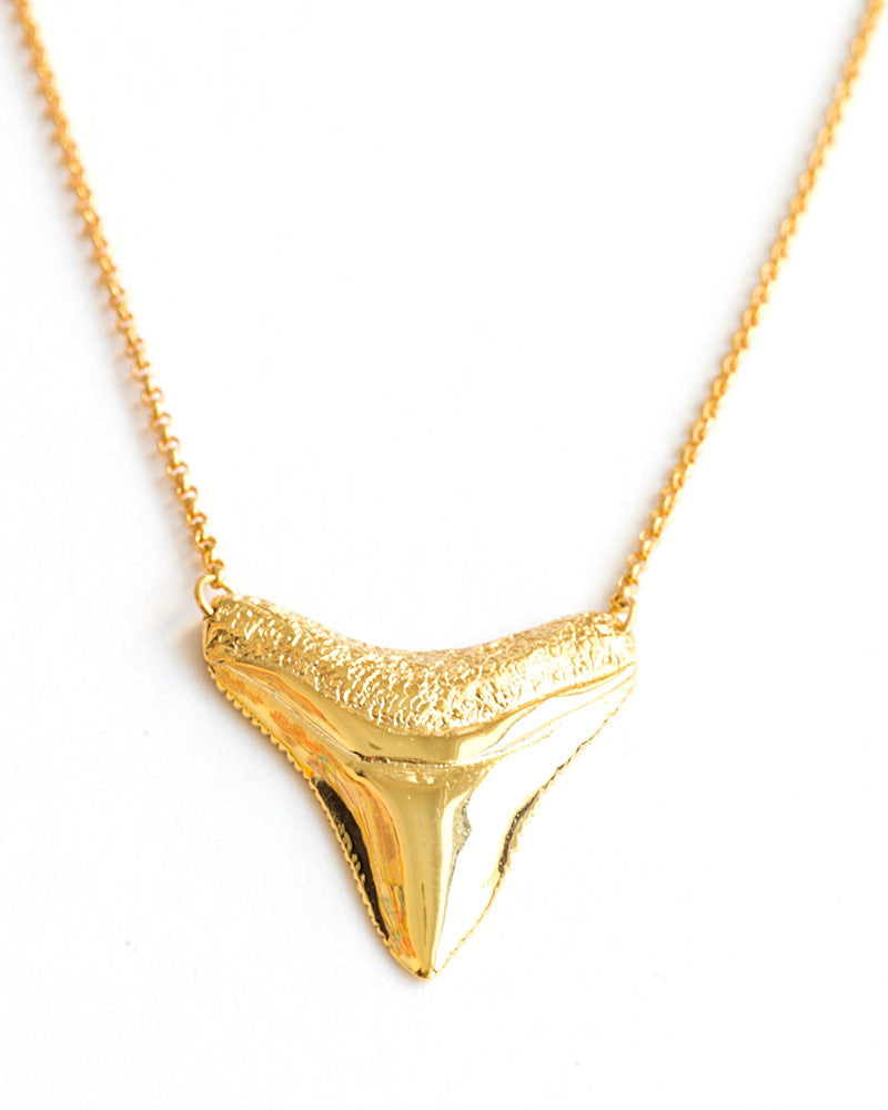Meridian Avenue Gold Shark Tooth Necklace